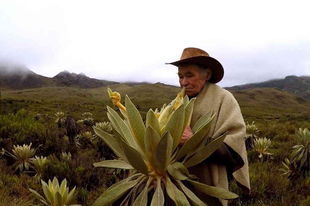 campesino con planta